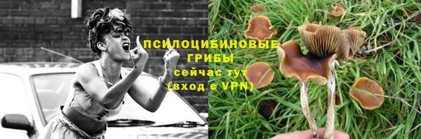 mdpv Арсеньев
