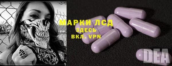 сатива Анжеро-Судженск