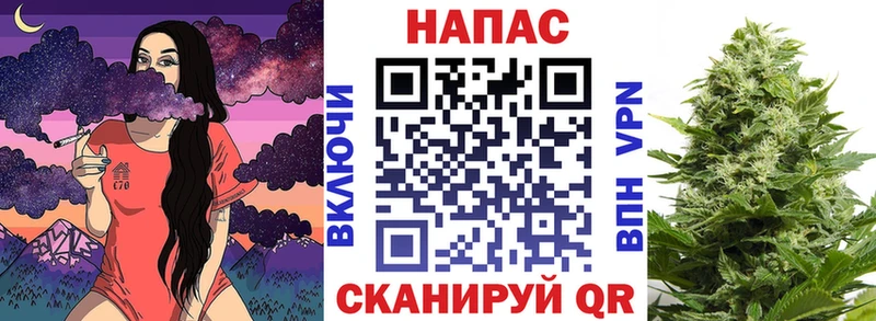 Марихуана сатива Майкоп